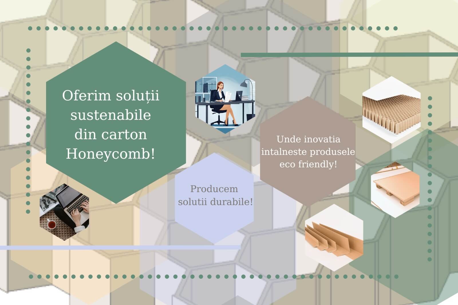 producator de ambalaje din carton